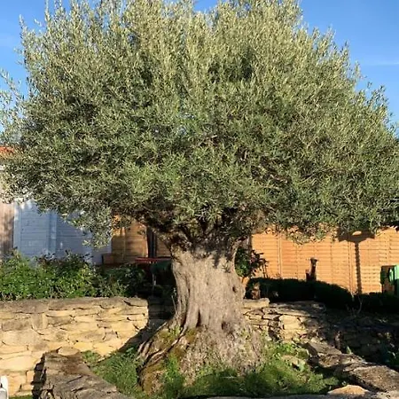 Maison d'hôtes Le Domaine De Charline De 1 A 35 Personnes